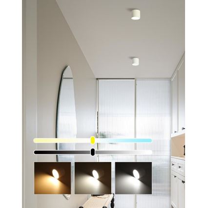 Immax NEO 07241L - Lampada da soffitto dimmerabile LED RONDATE LED/18W/230V 11,5cm Wi-Fi Tuya