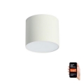 Immax NEO 07243L - Lampada da soffitto dimmerabile LED RONDATE LED/32W/230V 16,5 cm Wi-Fi Tuya