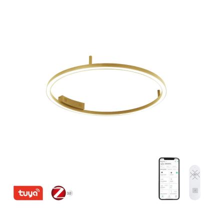 Immax NEO 07291-80G - Plafoniera da soffitto dimmerabile LED+CCT FINO LED/55W/230V 2700-6500K Tuya Ø 80 cm + telecomando