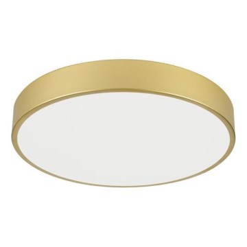 Immax NEO 07292L - LED+CCT Lampada da soffitto dimmerabile SEMPLICI LED/36W/230V 2700-6500K diam. 40 cm + telecomando
