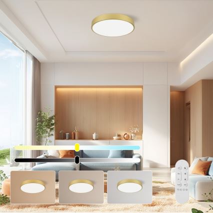 Immax NEO 07292L - LED+CCT Lampada da soffitto dimmerabile SEMPLICI LED/36W/230V 2700-6500K diam. 40 cm + telecomando