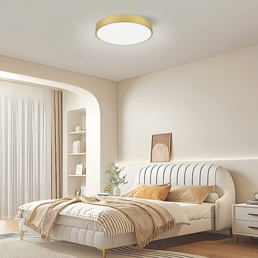 Immax NEO 07292L - LED+CCT Lampada da soffitto dimmerabile SEMPLICI LED/36W/230V 2700-6500K diam. 40 cm + telecomando