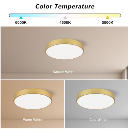 Immax NEO 07292L - LED+CCT Lampada da soffitto dimmerabile SEMPLICI LED/36W/230V 2700-6500K diam. 40 cm + telecomando