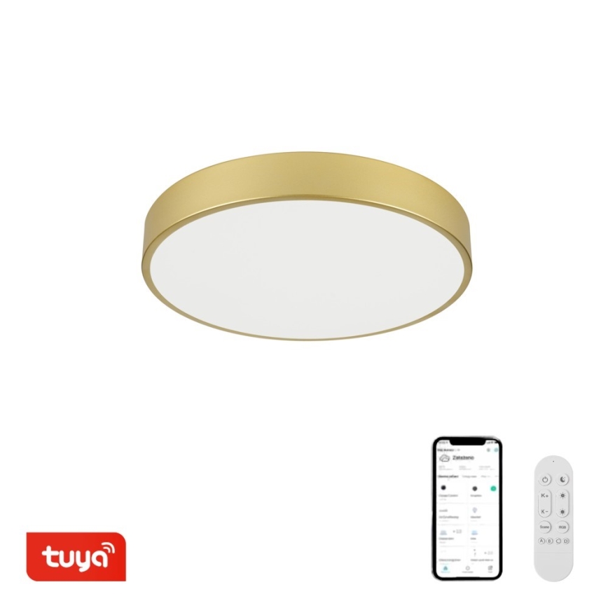 Immax NEO 07292L - LED+CCT Lampada da soffitto dimmerabile SEMPLICI LED/36W/230V 2700-6500K diam. 40 cm + telecomando