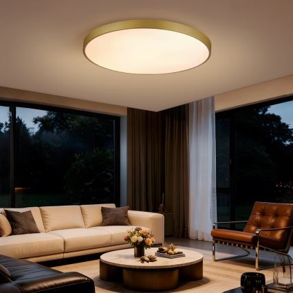 Immax NEO 07311L - Lampada da soffitto dimmerabile LED SEMPLICI LED/96W/230V Ø 80 cm Wi-Fi Tuya dorata + telecomando