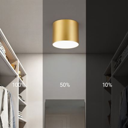 Immax NEO 07317L - Plafoniera LED dimmerabile RONDATE LED/18W/230V Ø 11,5 cm Wi-Fi Tuya oro