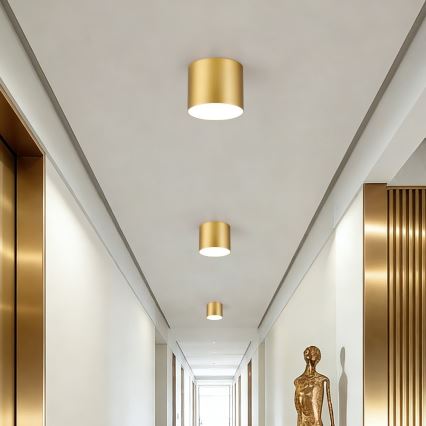 Immax NEO 07317L - Plafoniera LED dimmerabile RONDATE LED/18W/230V Ø 11,5 cm Wi-Fi Tuya oro