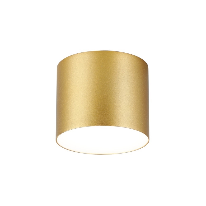 Immax NEO 07317L - Plafoniera LED dimmerabile RONDATE LED/18W/230V Ø 11,5 cm Wi-Fi Tuya oro