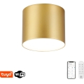 Immax NEO 07317L - Plafoniera LED dimmerabile RONDATE LED/18W/230V Ø 11,5 cm Wi-Fi Tuya oro