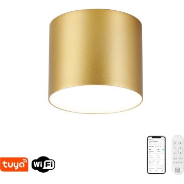 Immax NEO 07317L - Plafoniera LED dimmerabile RONDATE LED/18W/230V Ø 11,5 cm Wi-Fi Tuya oro