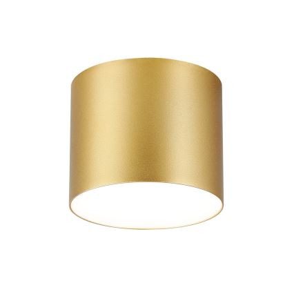 Immax NEO 07318L - Plafoniera dimmerabile a LED RONDATE LED/32W/230V Ø 16,5 cm Wi-Fi Tuya dorata
