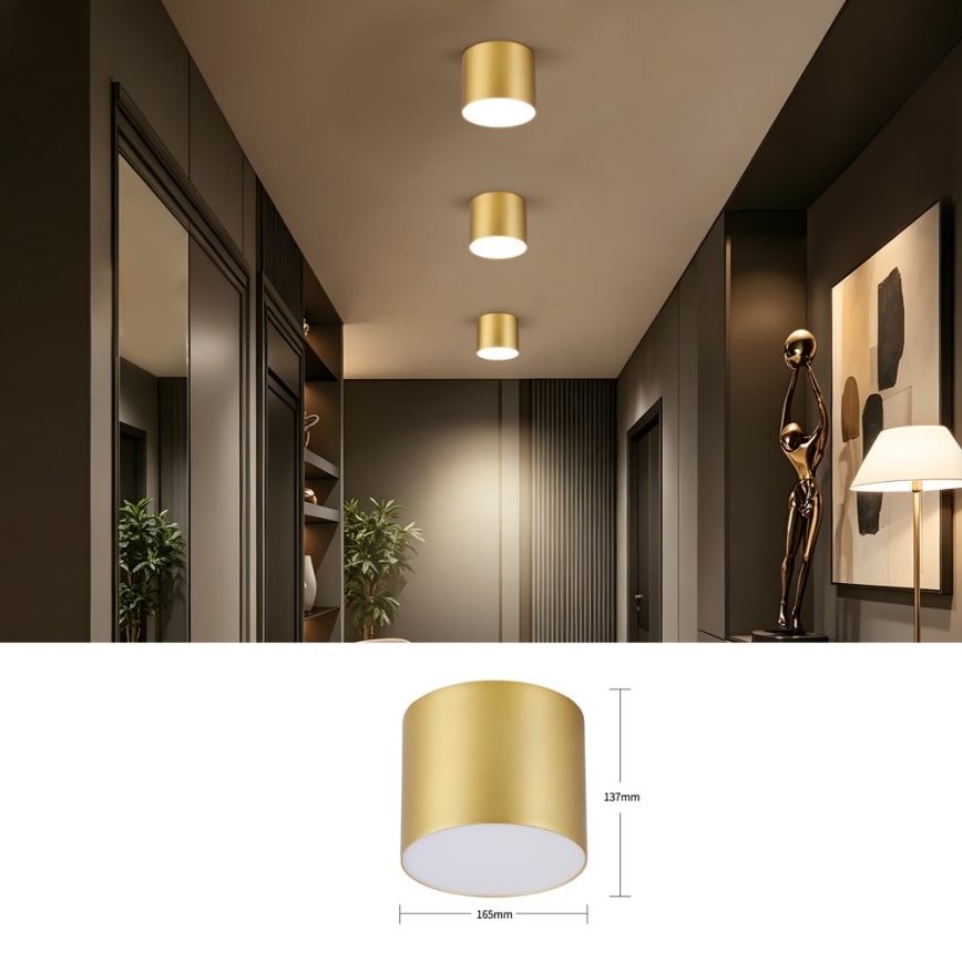 Immax NEO 07318L - Plafoniera dimmerabile a LED RONDATE LED/32W/230V Ø 16,5 cm Wi-Fi Tuya dorata