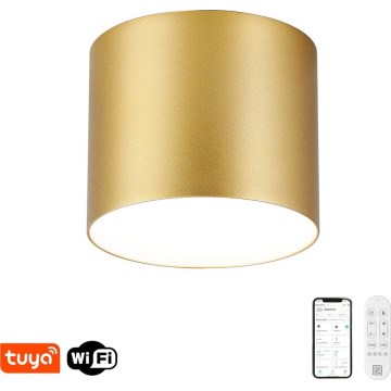 Immax NEO 07318L - Plafoniera LED dimmerabile RONDATE LED/32W/230V Ø 16,5 cm Wi-Fi Tuya oro