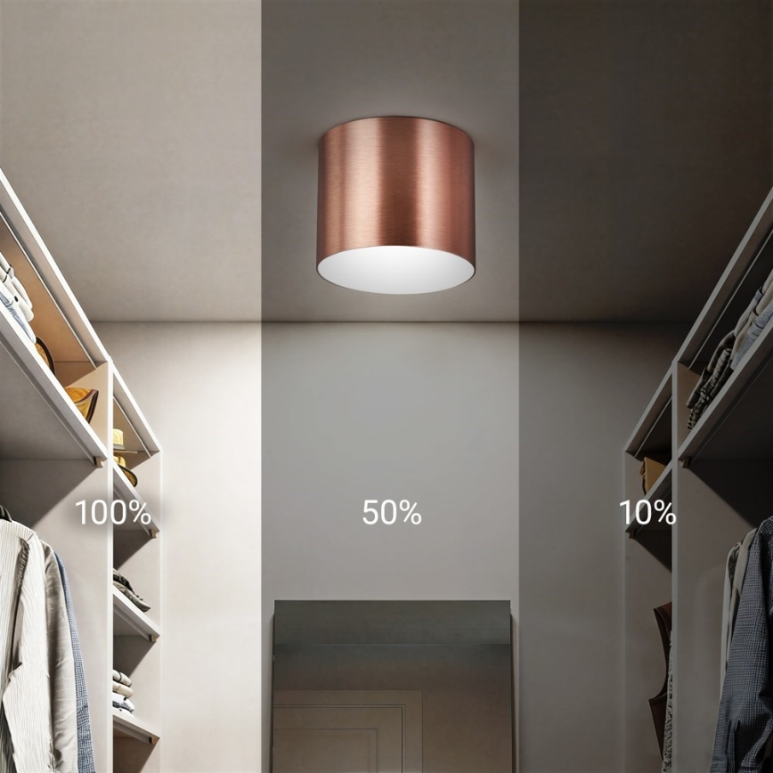 Immax NEO 07319L - Plafoniera LED dimmerabile RONDATE LED/18W/230V diam. 11,5 cm Wi-Fi Tuya oro rosa