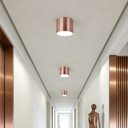 Immax NEO 07319L - Plafoniera LED dimmerabile RONDATE LED/18W/230V diam. 11,5 cm Wi-Fi Tuya oro rosa