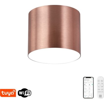 Immax NEO 07319L - Plafoniera LED dimmerabile RONDATE LED/18W/230V Ø 11,5 cm Wi-Fi Tuya oro rosa