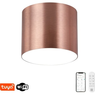 Immax NEO 07320L - Plafoniera dimmerabile RONDATE LED/32W/230V pr. 16,5 cm Wi-Fi Tuya oro rosa