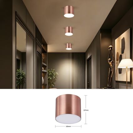 Immax NEO 07320L - Plafoniera dimmerabile RONDATE LED/32W/230V pr. 16,5 cm Wi-Fi Tuya oro rosa