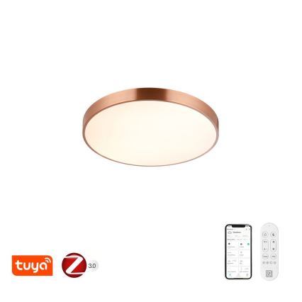 Immax NEO 07321L - Plafoniera dimmerabile a LED NEO LITE SEMPLICI LED/36W/230V Ø 40 cm Tuya oro rosa + telecomando