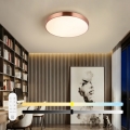 Immax NEO 07321L - Plafoniera LED dimmerabile NEO LITE SEMPLICI LED/36W/230V Ø 40 cm rame + telecomando