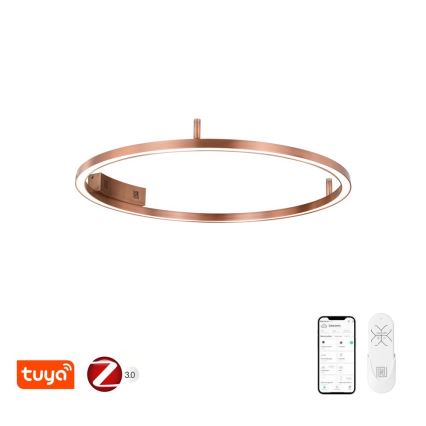 Immax NEO 07326-80C - Plafoniera LED dimmerabile FINO LED/55W/230V 80 cm Tuya oro rosa + telecomando