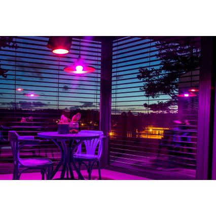 Immax NEO 07745CDO - Set da 3 lampadine LED RGB+CCT dimmerabili E14/6W/230V Wi-Fi + telecomando