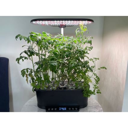 Immax NEO 07770L - Lampada da interno dimmerabile a LED per piante NEO LITE LED/36W/24/230V Wi-Fi Tuya