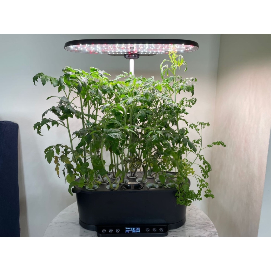 Immax NEO 07770L - Lampada da interno dimmerabile a LED per piante NEO LITE LED/36W/24/230V Wi-Fi Tuya