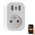 Immax NEO 07772L - Multipresa intelligente 16A/230V + 2x USB + 1x USB-C Wi-Fi Tuya