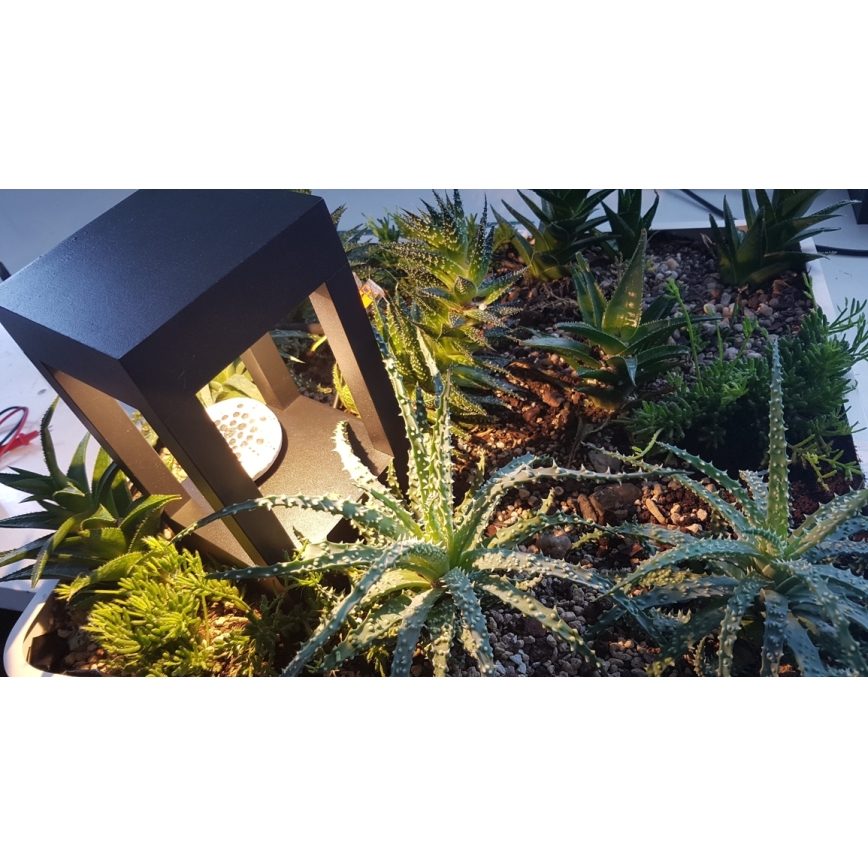 Immax NEO 07902L - LED RGB+CCT Dimmerabile per esterni lampada NEO LITE CUBE LED/10W/230V 2700-6500K IP67 Wi-Fi Tuya nero