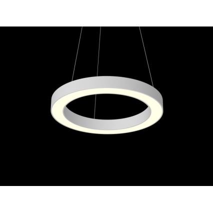 Immax NEO - Lampadario LED dimmerabile a sospensione con filo PASTEL LED/52W/230V 60 cm bianco Tuya