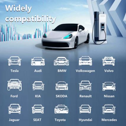 Immax - Stazione di ricarica per auto elettriche da viaggio AC Type 2 16A/380V 11kW + spina 230V, 3,7kW 5m + custodia