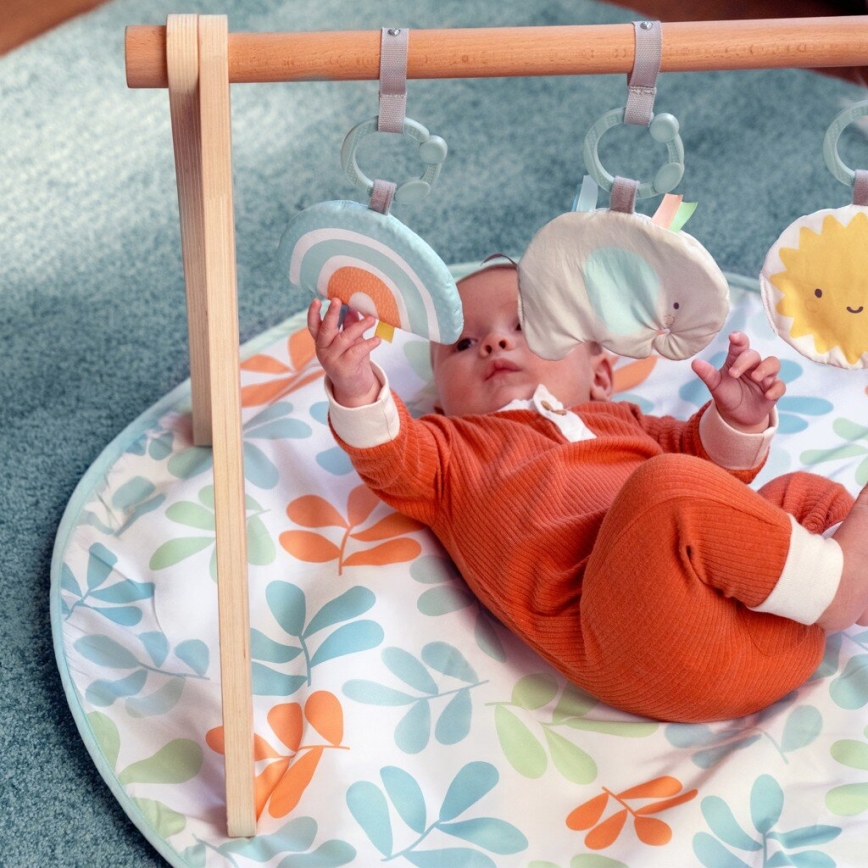 Ingenuity - Coperta per bambini per giocare con trapezio di legno SOLE VALLEY