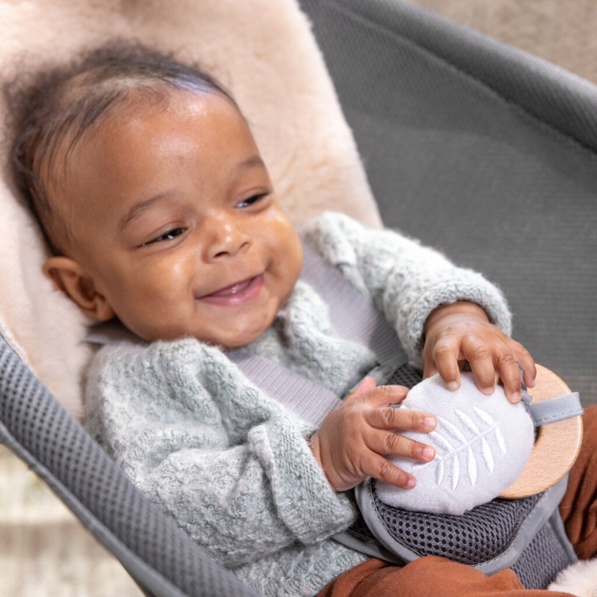 Ingenuity - Lettino vibrante per bambini con melodia EVERY SEASON WESLEY 3xC grigio