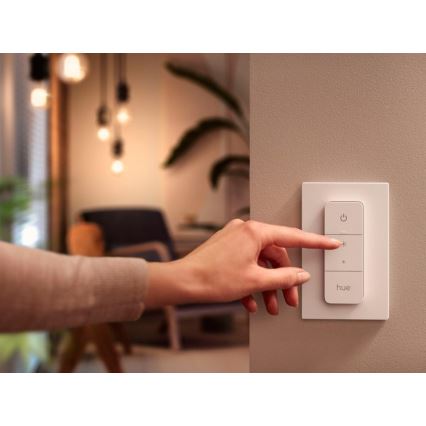 Interruttore dimmer Philips Hue V2, 1x CR2032