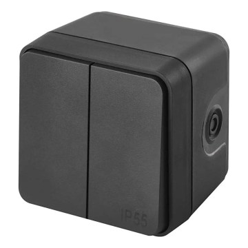 Interruttore domestico a 2 pulsanti con funzionamento alternato, n. 6+6, IP55, antracite