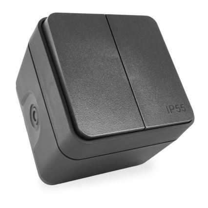 Interruttore domestico a 2 pulsanti con funzionamento alternato, n. 6+6, IP55, antracite