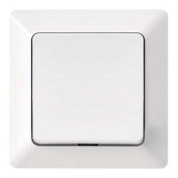 Interruttore domestico a croce 250V/10A
