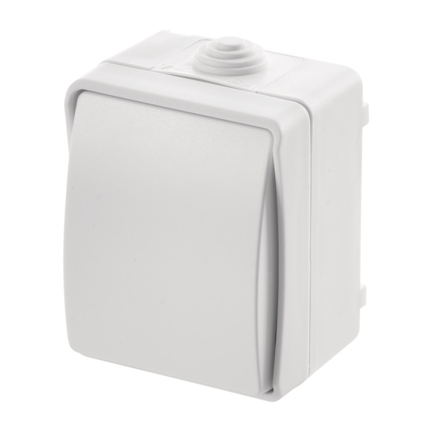 Interruttore domestico alternato 250V/10A IP54