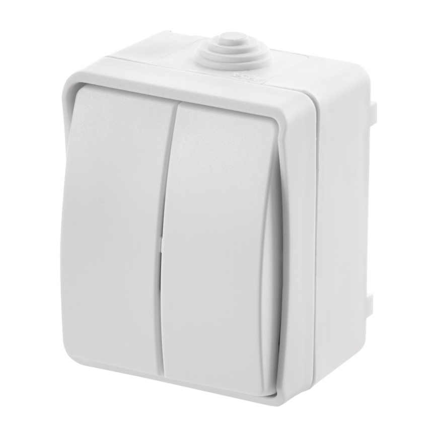 Interruttore domestico seriale 250V/10A IP54