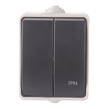 Interruttore domestico seriale 250V/10A IP54