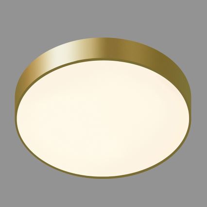 ITALUX - Plafoniera LED ORBITAL LED/30W/230V 3000K oro