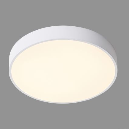 ITALUX - Plafoniera LED ORBITAL LED/30W/230V 3000K bianco