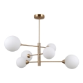 ITALUX - Lampadario a barra EVORA 6xG9/5W/230V ottone