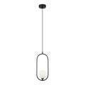 ITALUX - Lampadario a cavo LUPUS 1xG9/25W/230V nero