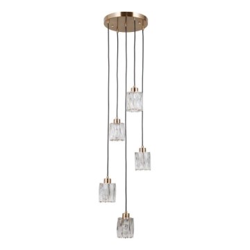 ITALUX - Lampadario a cavo TORNO 5xE14/40W/230V oro