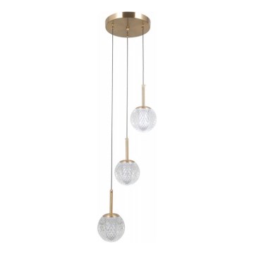 ITALUX - Lampadario a sospensione con cavo PADRI 3xG9/5W/230V dorato