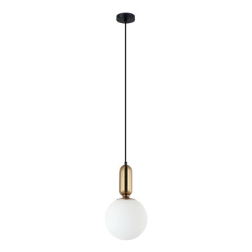 ITALUX - Lampadario a sospensione con filo ALDEVA 1xE27/40W/230V diametro 20 cm nero/bronzo