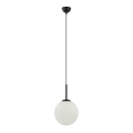 ITALUX - Lampadario a sospensione DEORE 1xE27/40W/230V diam. 25 cm nero