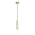 ITALUX - Lampadario a sospensione FILANO 1xG9/5W/230V, dorato